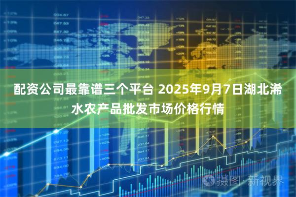 配资公司最靠谱三个平台 2025年9月7日湖北浠水农产品批发市场价格行情