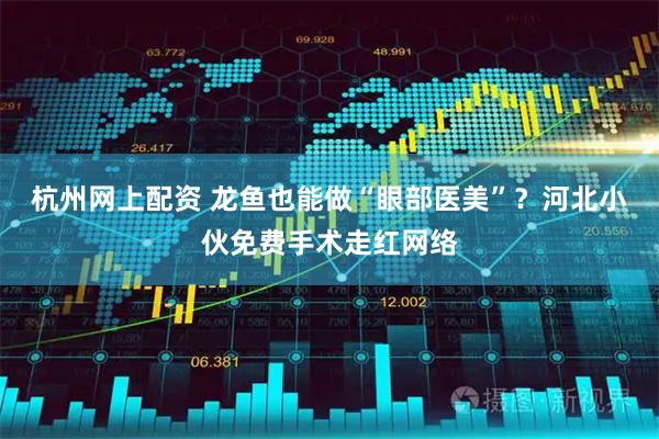 杭州网上配资 龙鱼也能做“眼部医美”？河北小伙免费手术走红网络